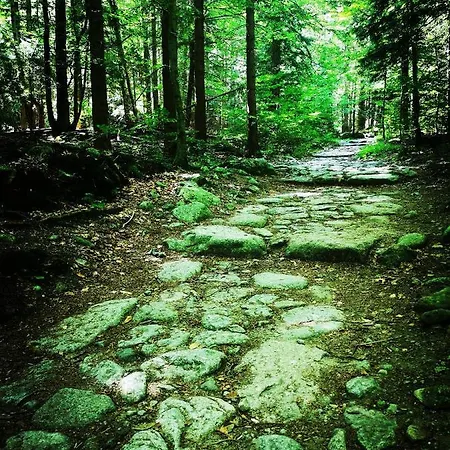 公寓 Woodstone 卡尔帕奇