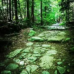 דירה Woodstone קרפאז'