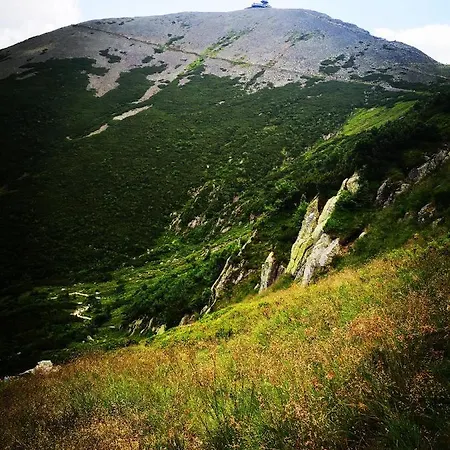 Woodstone Διαμέρισμα *