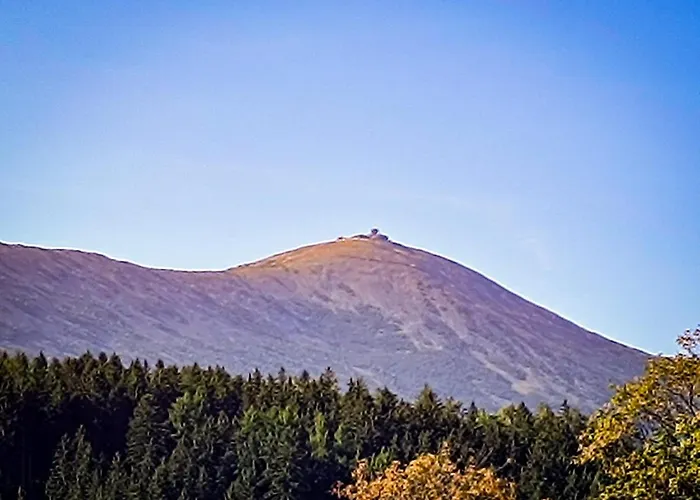 アパート Woodstone カルパッチ