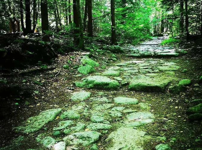 アパート Woodstone カルパッチ