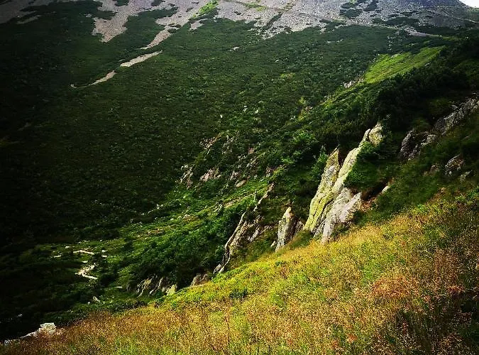 Woodstone Appartamento *