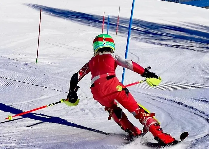 Woodstone カルパッチ